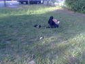 Kerb 2005