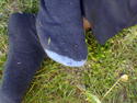 Kerb 2005