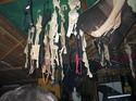 Coyote Ugly Dezember 2007