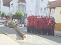 Kerb 2009