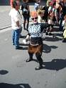 Kerb 2009