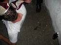 Kerb 2009