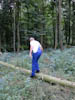 Arbeitseinsätze 2010