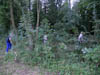 Arbeitseinsätze 2010
