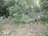 Arbeitseinsätze 2010