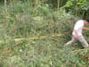 Arbeitseinsätze 2010
