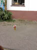 Kerb 2011