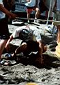 Beachparty 2000