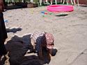 Beachparty 2002