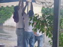 Beachparty 2004