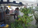 Beachparty 2004