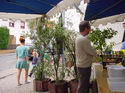 Beachparty 2004