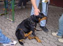 Beachparty 2004