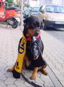 Beachparty 2004