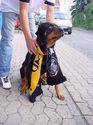 Beachparty 2004