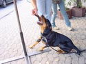 Beachparty 2004