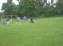 Keborama 2008