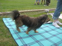 Keborama 2008