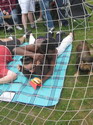 Keborama 2008