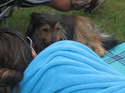 Keborama 2008