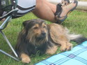 Keborama 2008