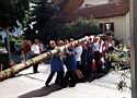 Kerb 2000