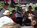 Kerb 2003