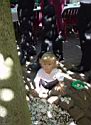 Kerb 2003