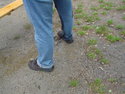 Kreiskerweborschspiele 2006 (Roßdorf)